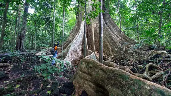 從胡志明市出發：Cat Tien National Park 叢林健行與野生動物之旅
