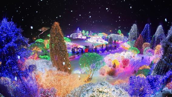 Winter Limited|Yufei Valley Glacier, Nami Island, and the Garden of Morning Calm Night Light Festival