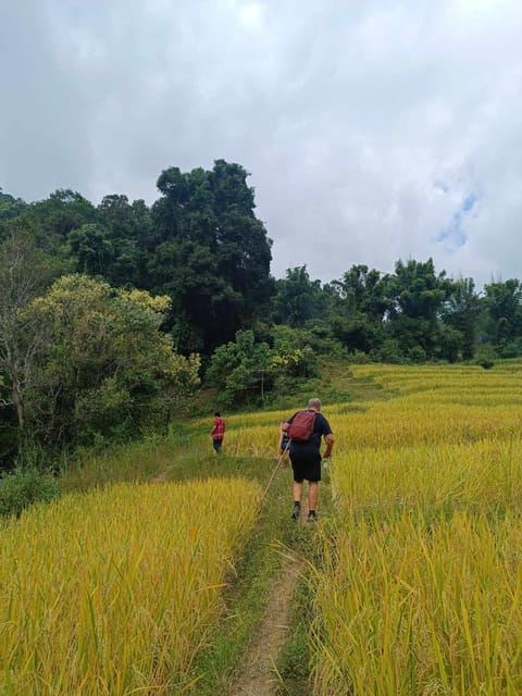 เชียงใหม่: เดินป่าที่อุทยานแห่งชาติดอยอินทนนท์และศูนย์อนุรักษ์ช้าง