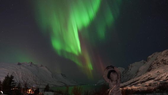 Tromsø: Tur Cahaya Utara dengan Foto Profesional Gratis