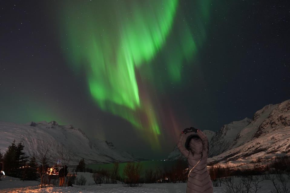 Tromsø: Northern Lights Chase with Local Guide & Free Photos