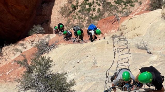 奧德維爾：鐵索攀爬及垂降之旅