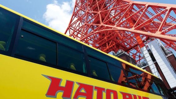 Tokyo: Lawatan Bas Perjalanan Separuh Hari di Pagi