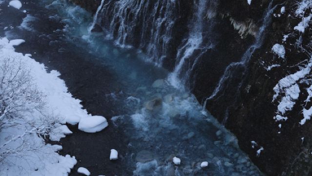 日本北海道旭川動物園｜白鬚瀑布｜札幌來回｜中文專車