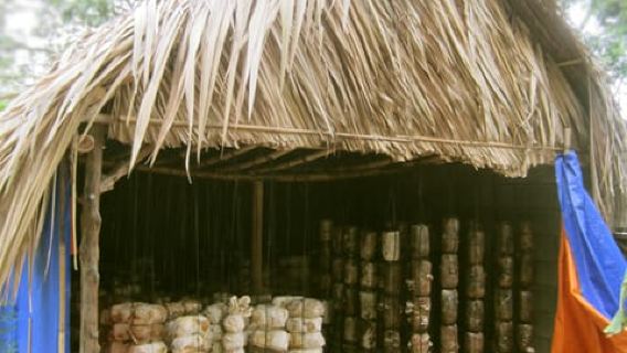 Lớp học nấu ăn lành mạnh từ nông trại đến bàn ăn: Tour nửa ngày