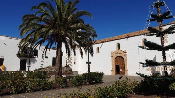 Fuerteventura: Guided Hotspot & Sightseeing Tour max.8people