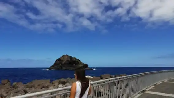 Tenerife Island, The Best Day Tour FOR CRUISE PASSENGERS