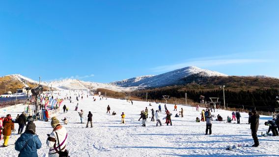 Kuju Forest Park Winter Skiing Grounds Day Tour (From Fukuoka, Basic Lesson)