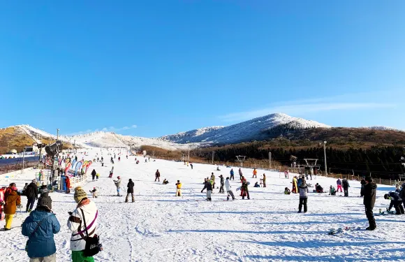 九州冬季：九重森林公園滑雪場一日遊 (福岡出發，含基礎課程)
