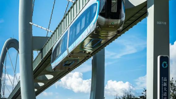 【包車家庭遊-私人導覽】黃鶴樓+古德寺+黎黃陂路+空軌一日遊