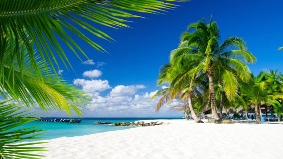 純玩文昌銅鼓嶺+石頭公園+東郊椰林+宋氏祖居+椰子王國+午餐