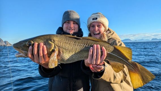 Tragones|Viaje de pesca en el mar de Lofoten