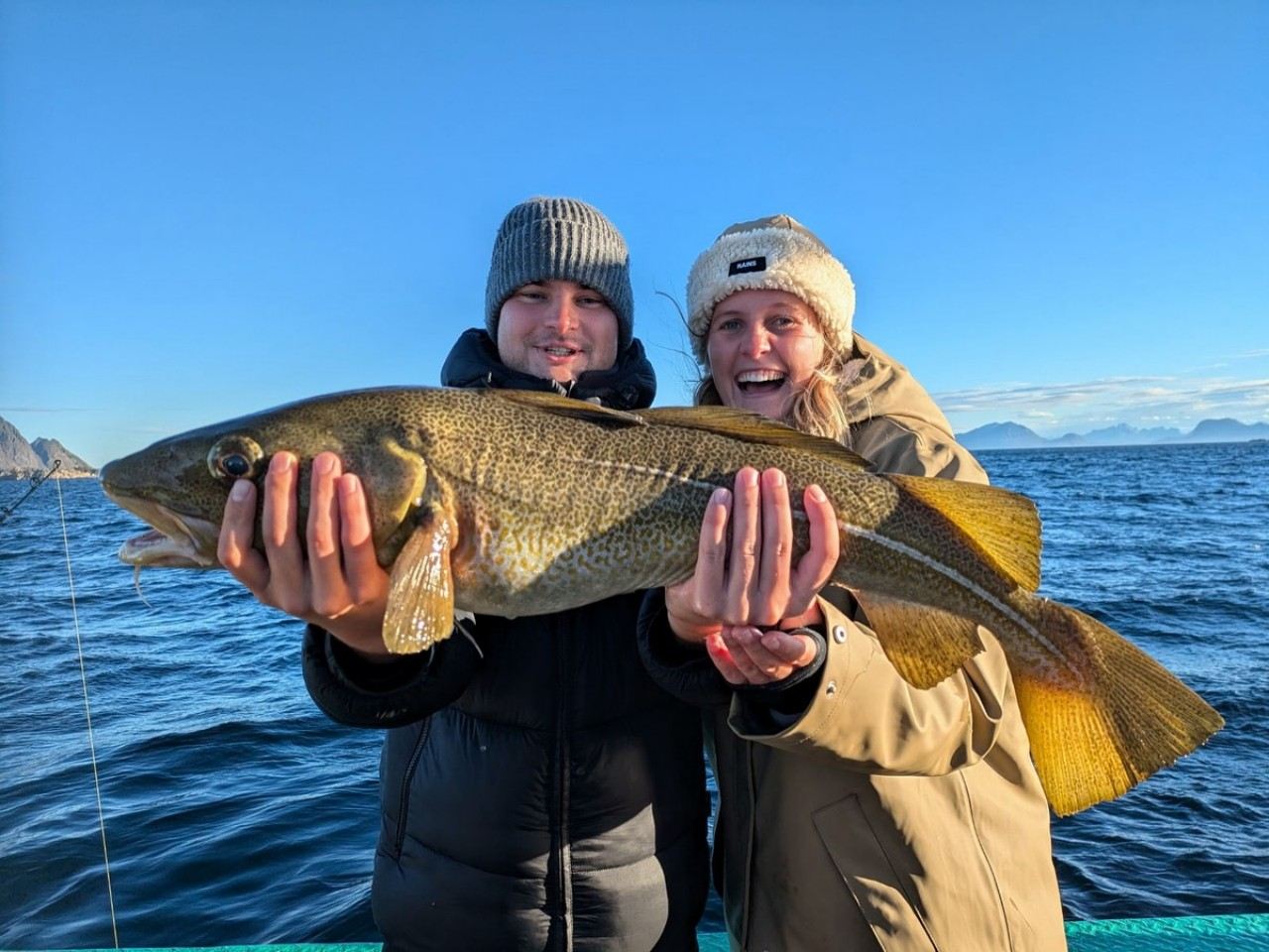Svolvaer|Lofoten Sea Fishing Tour