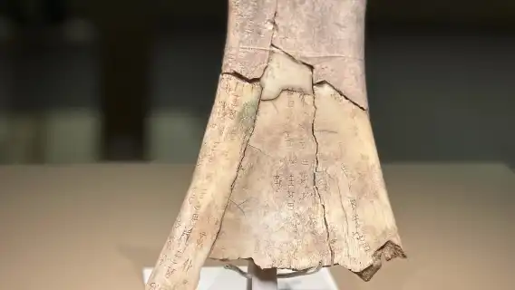 殷墟博物館導覽拼團/私人導覽3小時導覽