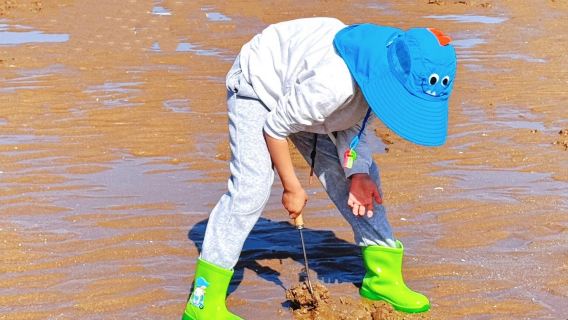 嶗山風景區仰口+趕海一日遊/原生灘塗真實趕海體驗/可選小團