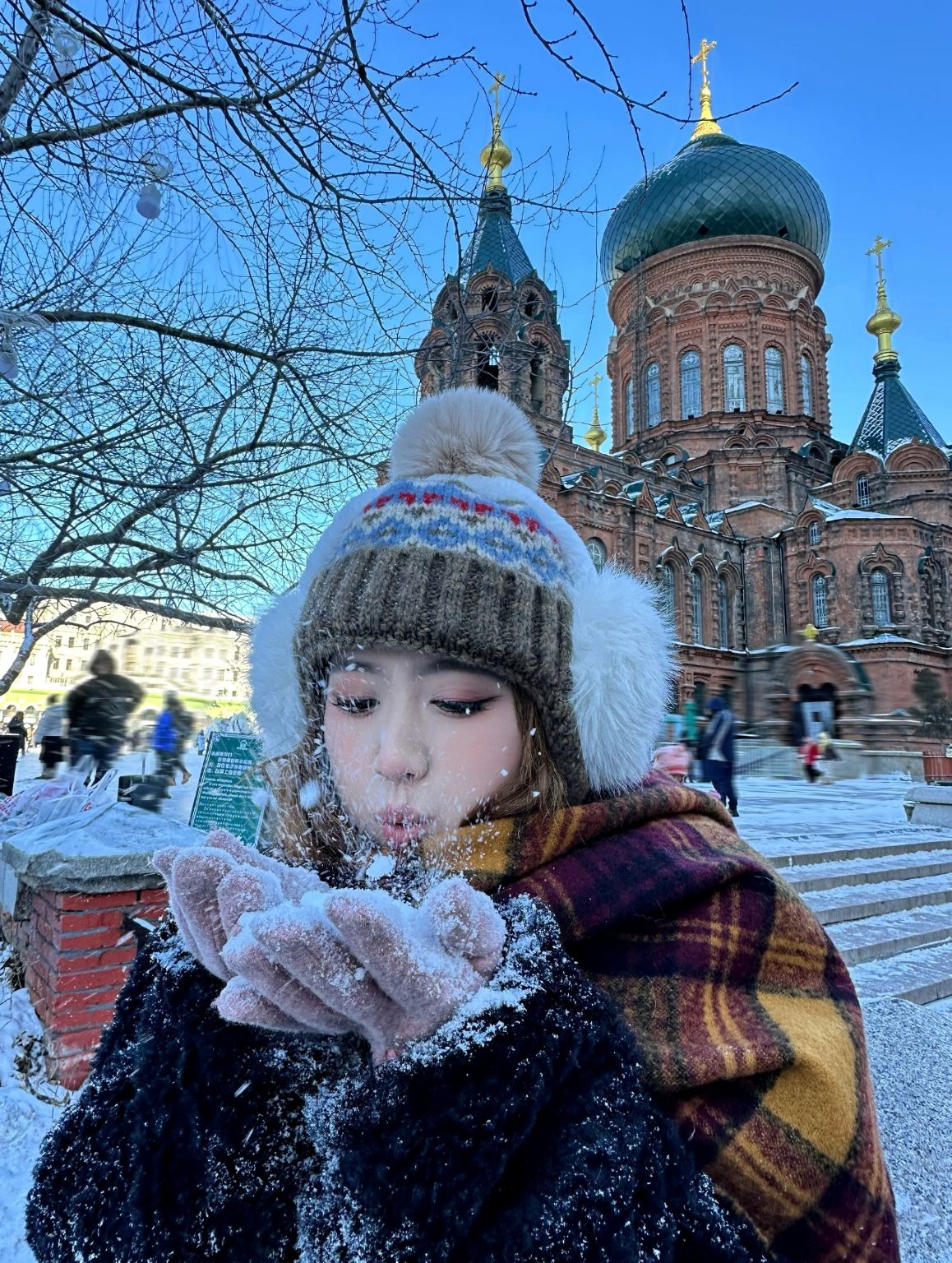 Harbin città + tour giornaliero alla Tenuta Volga [noleggio con conducente esclusivo + autista/guida in inglese]