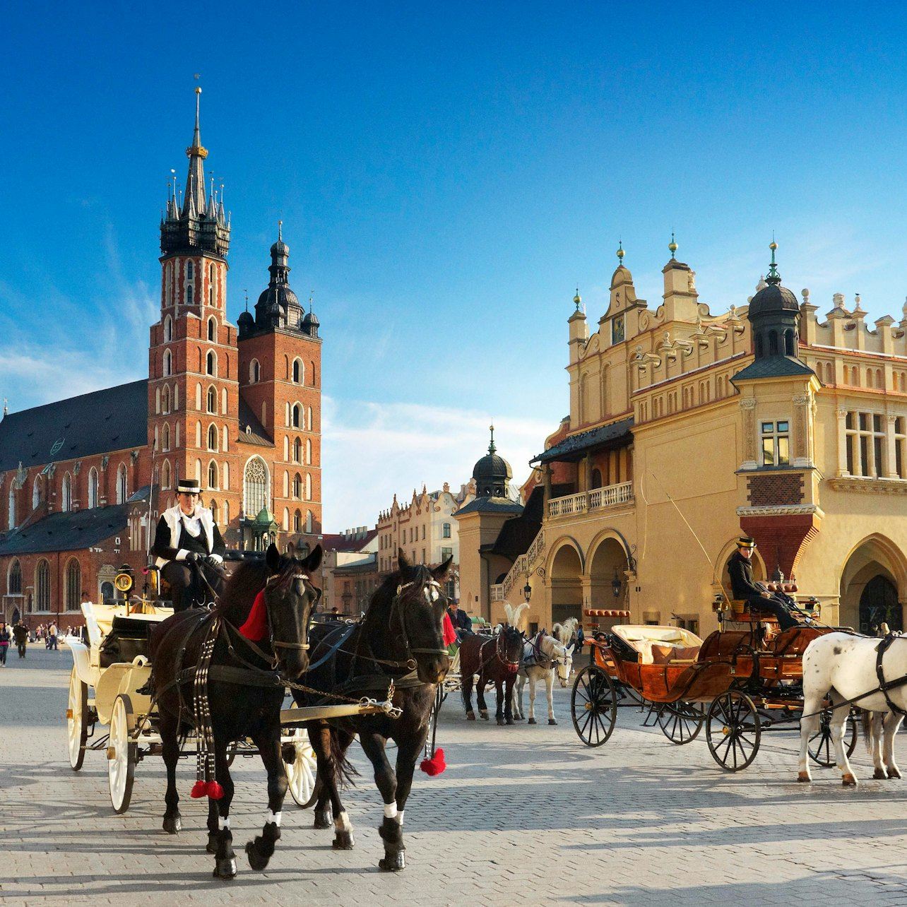 Cracovia: tour guidato a piedi della Città Vecchia