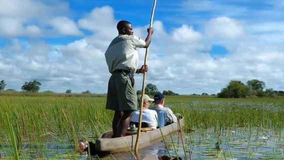博茨瓦納&amp;馬翁【 奧卡萬戈專屬包車一日遊】一日縱貫水澤國