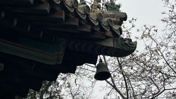 Tempio Tanzhe, un tempio millenario a Pechino (visita guidata in inglese)