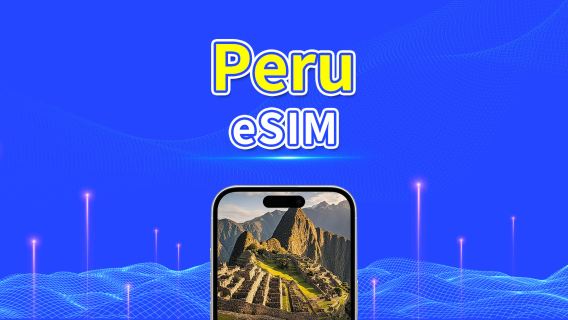 Peru eSIM | 4G | Daily/Total Data Package | 1–30 days | 24-Hour Billing | QR code