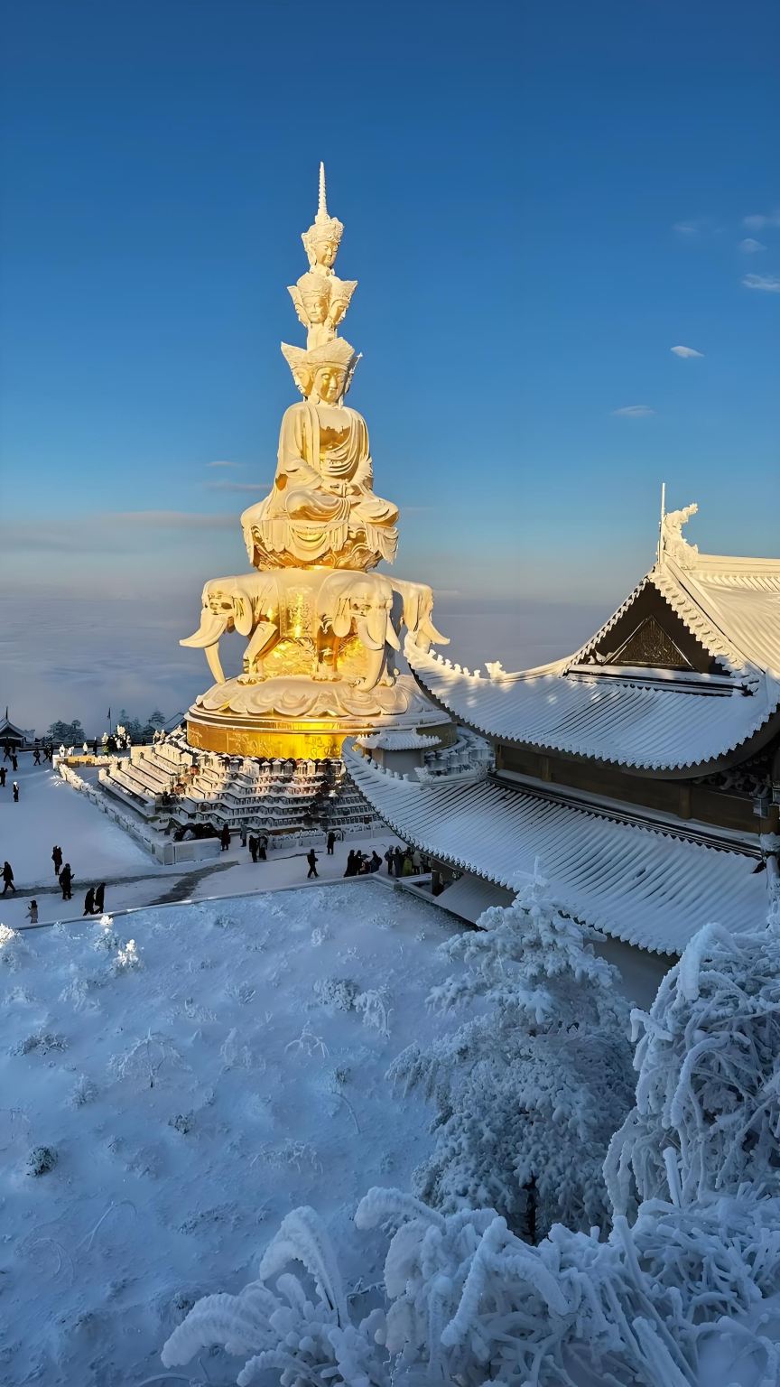 Leshan Giant Buddha + Mount Emei One-Day Tour [Round-Trip from Chengdu / Winter Snow Scenery / Optional English Guide]