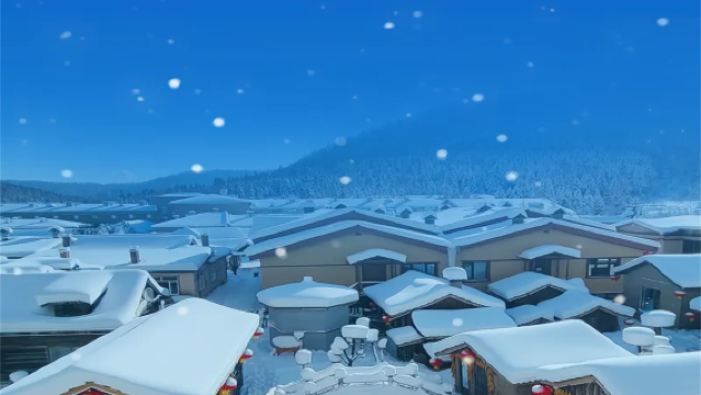 哈爾濱+亞布力滑雪旅遊度假區+中國雪鄉【純玩無購物◆暢玩冰雪】