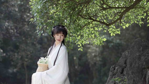 Guanling Trip Moments[Huajiang Grand Canyon/Mehrsprachige Übersetzung für antike Städte der Ming- und Qing-Dynastie/Fotografen-Service mit Begleitung, Drohnenaufnahmen, individuelle Fotoshootings]