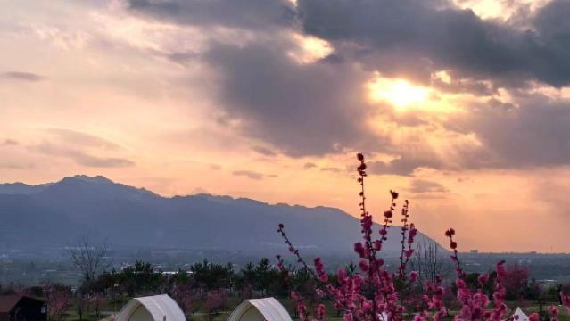 Winter-Pflaumenblütenfest [Tagesausflug nach Chang'an Tang Village ~ Nanbao Ancient Village]