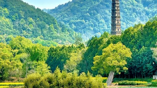 錯峰限時優惠·台州天台山大瀑布+國清景區+瓊台仙谷包車1日遊