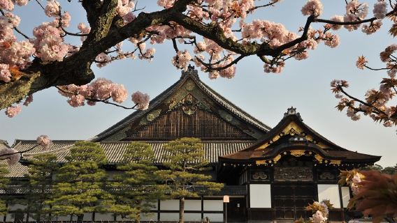Halbtägiger Tagesausflug in Kyoto (vormittags): Burg Nijō + Kinkaku-ji + Kaiserpalast von Kyoto