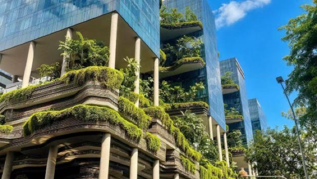 Tour di un giorno a Singapore con noleggio con conducente esclusivo: Duck Tour ~ Science Centre ~ Gardens by the Bay | Itinerario per famiglie