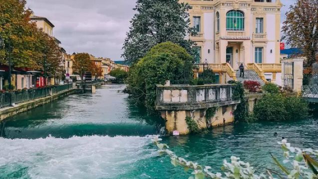 薰衣草之旅資深華人司機護航【純玩·專車】