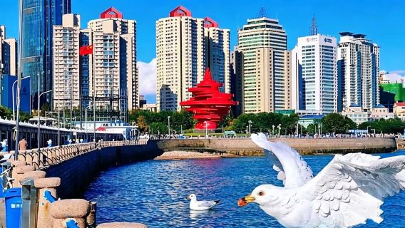 Qingdao stadscentrum pure plezier eendaagse tour met gecharterde autovervoer/populaire fotolocaties/ophaalservice aan huis/bezienswaardigheden naar keuze/geen groepssamenvoeging