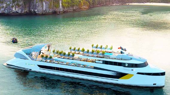 Delfindagskryssning: En Premium-resa till Ha Long Bay, Sung Sot-grottan & Ti Top-ön