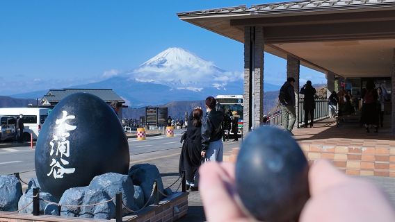 Dagsrejse til Hakone & Enoshima | Hakone-shrinet · torii-portal · Ashino-søen + Owakudani + Enoshima