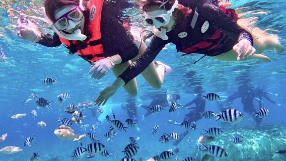 Wanning [Snorkeling Bebas di Pulau Zhouzai] lawatan sehari + bermain bila-bila masa + gambar dan video bawah air percuma