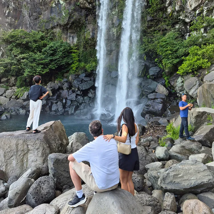 Jeju South UNESCO Sites Full-Day Tour Waterfall, Green Tea Field