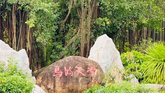 Lawatan Sehari di Jiangmen: Jalan Tiga Puluh Tiga Xu + Syurga Burung Xinhui + Kampung Chenpi | Sewaan Peribadi Eksklusif dengan Pengangkutan Pintu ke Pintu