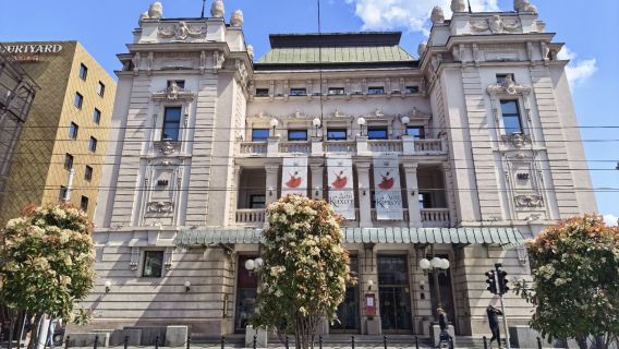 Serbia Istana Kuning*Gereja Saint Sava*Kampung Kayu - sewaan peribadi berbahasa Cina/pemandu pelancong tempatan/penerangan berpandu