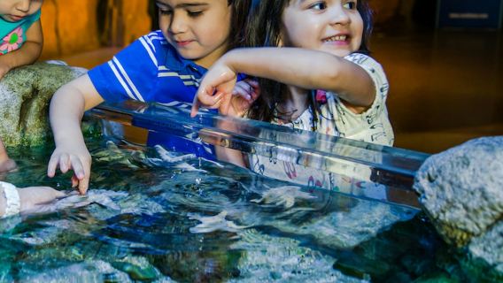 SEA LIFE Michigan & Peppa Pig World of Play: Entry Ticket