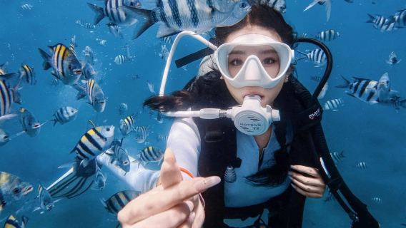 Snorkeling dan selam skuba di Pusat Selam Skuba Pulau Lingshui | Nisbah harga berbaloi | Lebih banyak gambar dan video dirakam, lebih banyak hadiah