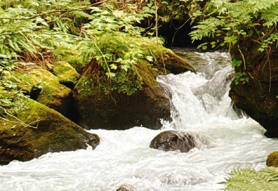 日本青森-奧入瀨溪流-青森縣立美術館-中文私享行| Trip.com