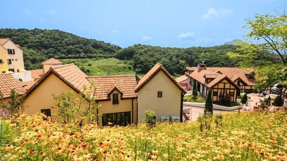 Seoul: Nami Island, Garden and Petite France (opt. Railbike)