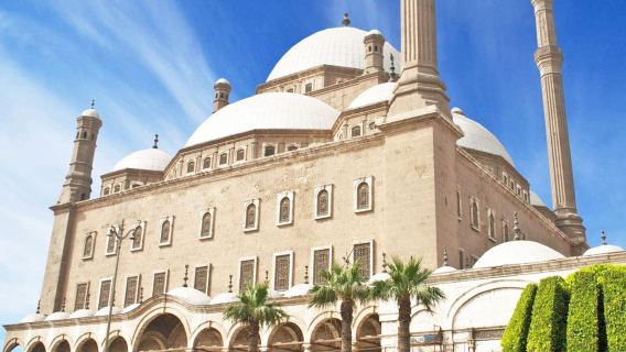 Pyramids and Citadel tour from Alexandria Port included admissions
