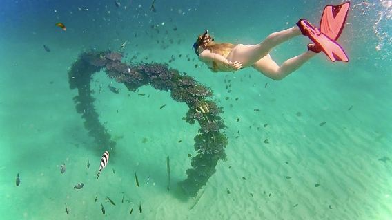 Snorkeling di Pantai Sanur Bali (bertemu dengan kawanan ikan tropis yang berwarna-warni di sudut surga)