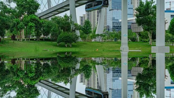 Menara Bangau Kuning + Muzium Wilayah + Tasik Donghu + Universiti Wuhan + kereta api udara Lembah Optik + pelayaran malam Sungai Yangtze lawatan sehari