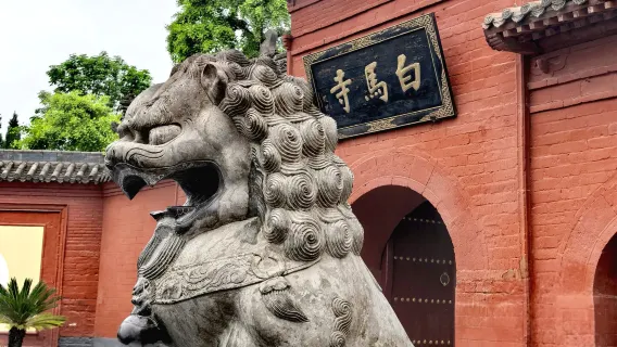 Visita guiada con explicaciones en el Templo del Caballo Blanco de Luoyang, grupo privado/viaje organizado con múltiples franjas horarias + opción de guía en chino o inglés