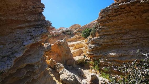 Malta: Snorkeling Tour