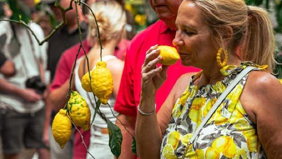 Sorrento: Lemons grove, Farm Tour&Tasting and Pizza Class