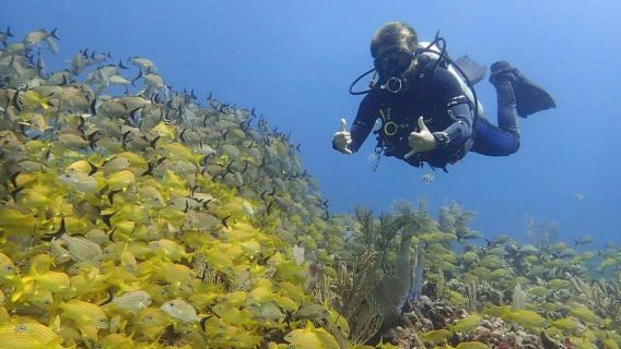 Puerto Morelos: Discover Scuba Diving + 2 Reef Dives